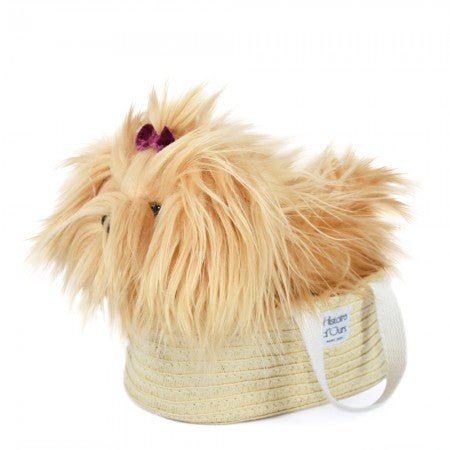 Yorkshire Terrier with Basket